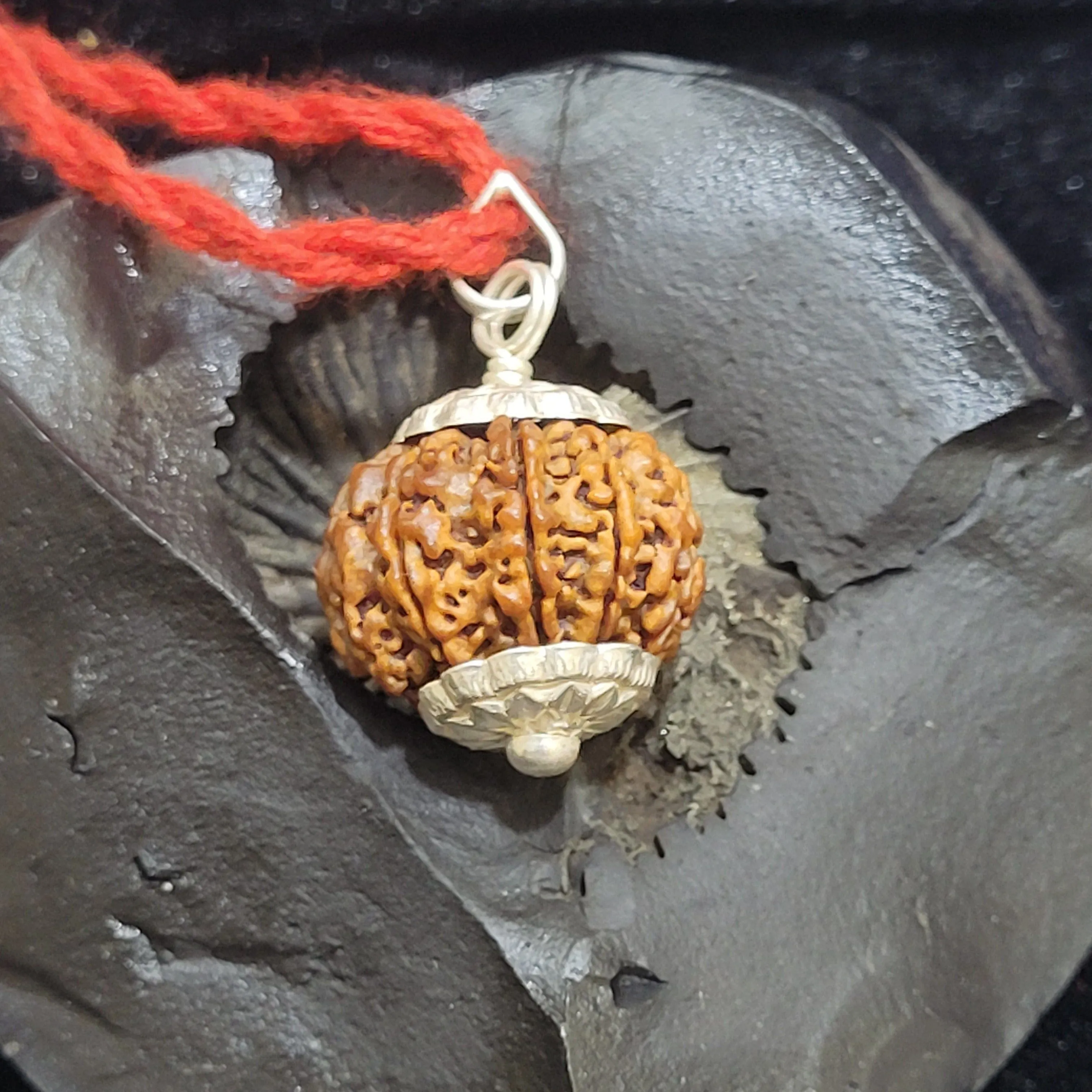 7 Mukhi Rudraksha Silver Capped Pendant