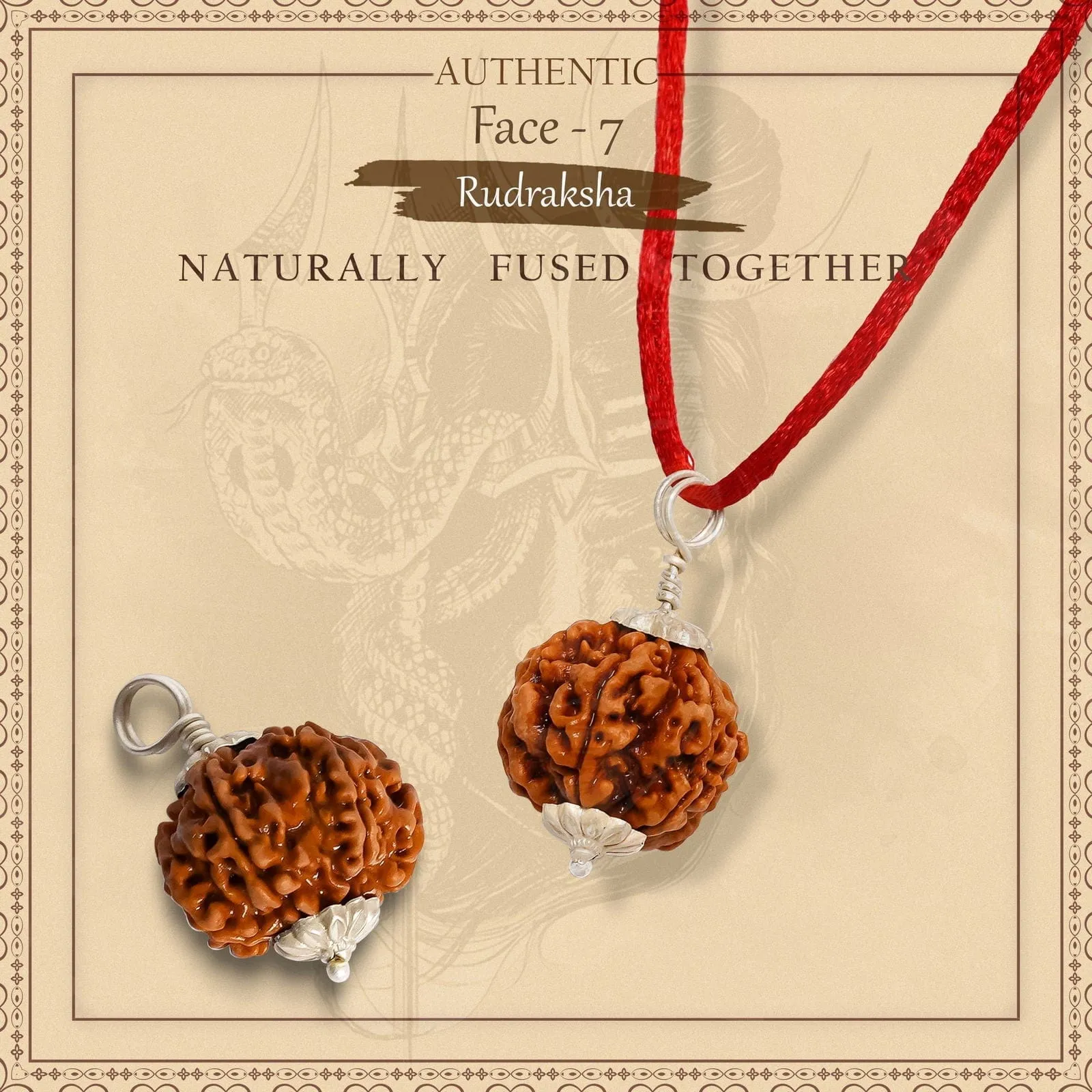 7 Mukhi Rudraksha Silver Capped Pendant