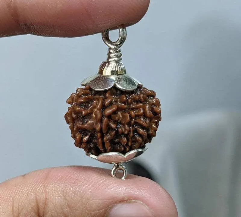 7 Mukhi Rudraksha Silver Capped Pendant