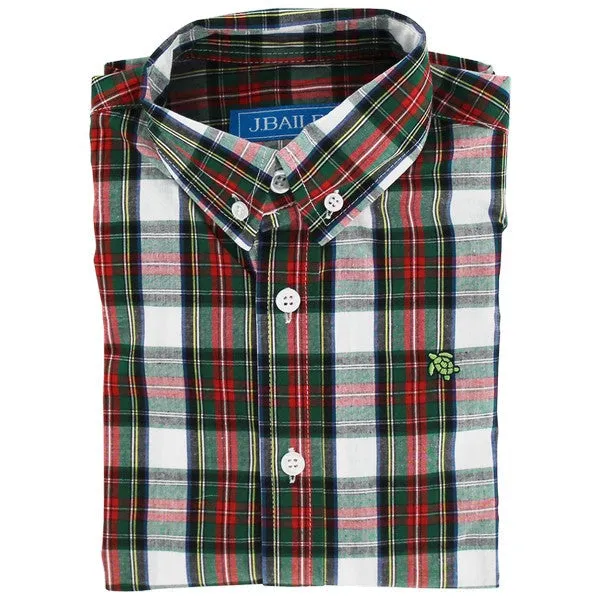 Button Down Evergreen