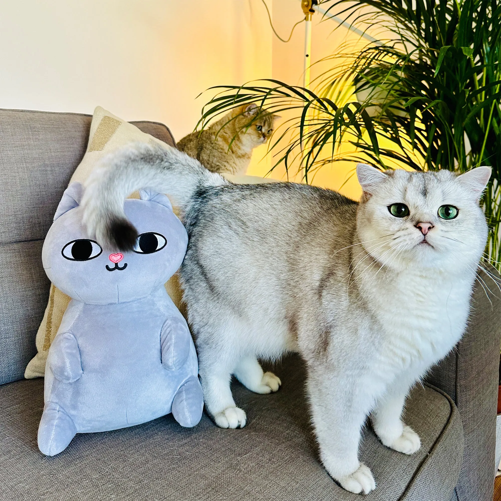 Catto Plushie