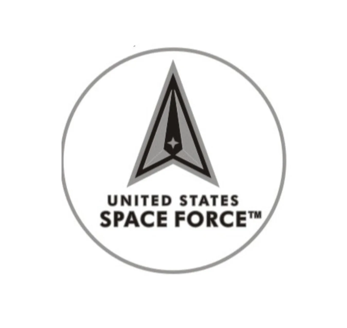 U.S. Space Force Round Lapel Pin